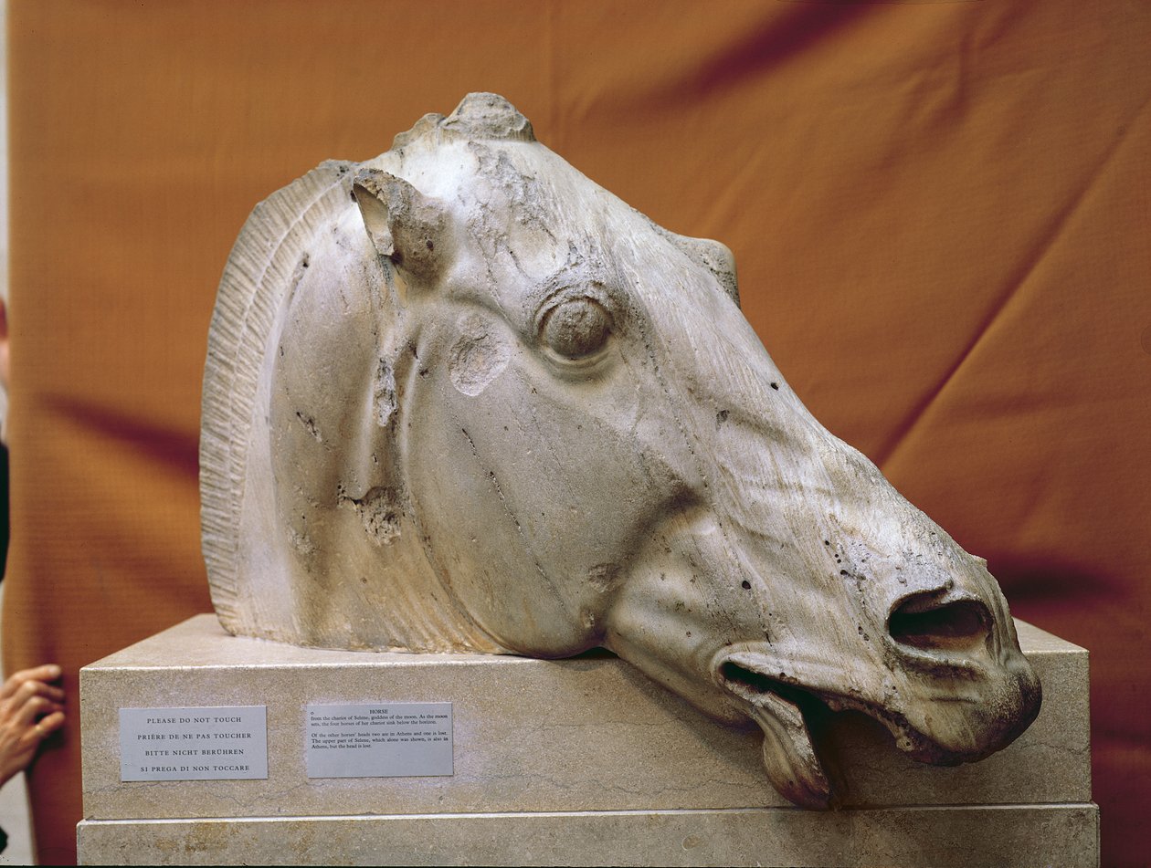 Głowa konia Selene autorstwa Greek