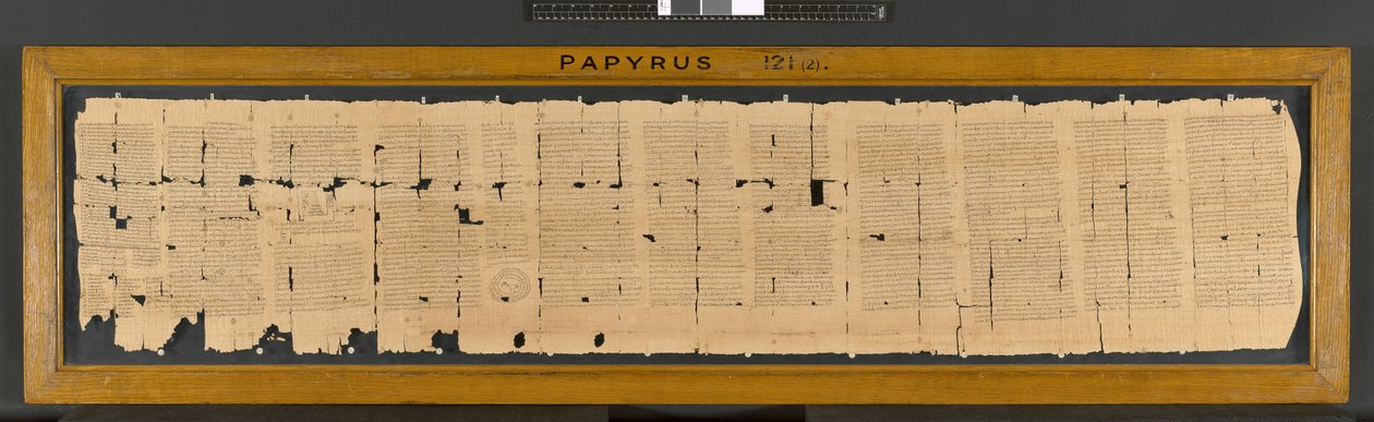 Zaklęcie Ibis z papirusu 121, III wiek autorstwa Greek School