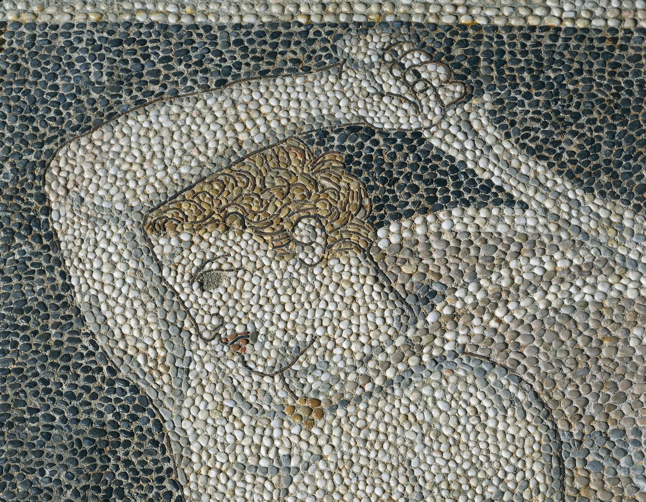 Krateros, c.320 pne (mozaika) (szczegóły 332175) autorstwa Greek School