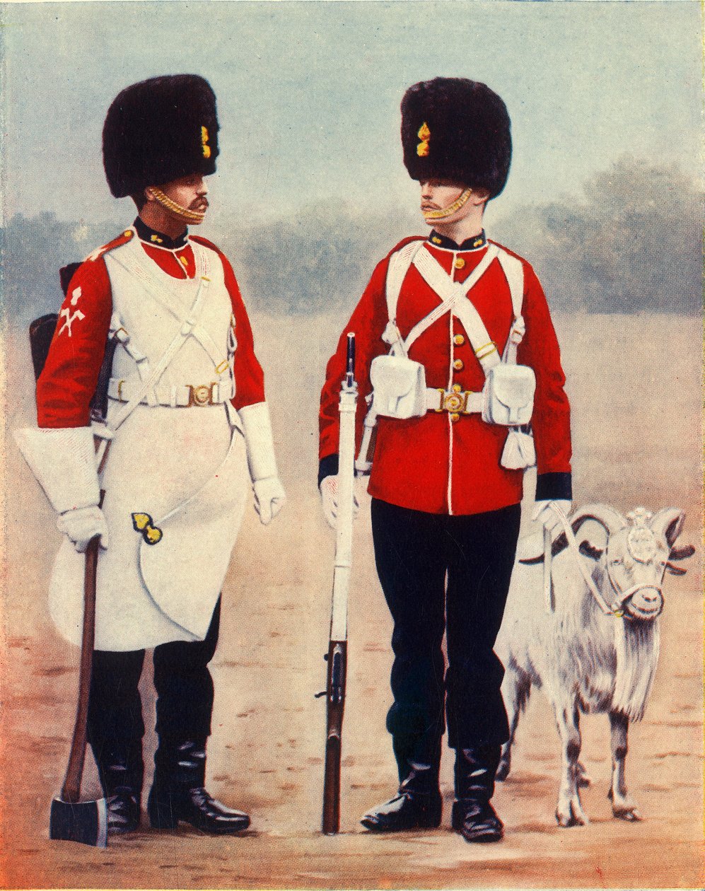 „Królewscy fizylierzy walijscy”, 1901. autorstwa Gregory and Co