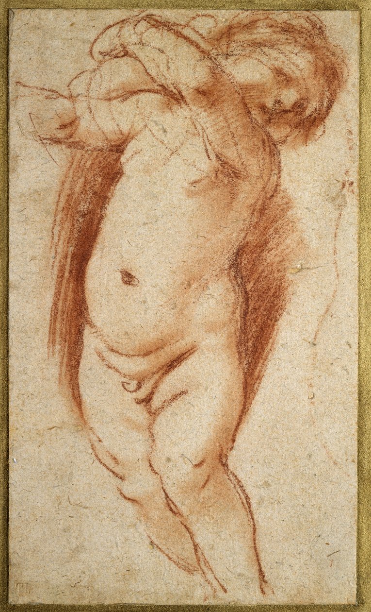 A Putto, 1620 - 1624 (czerwona kreda na szarawym papierze) autorstwa Giovanni Francesco Barbieri