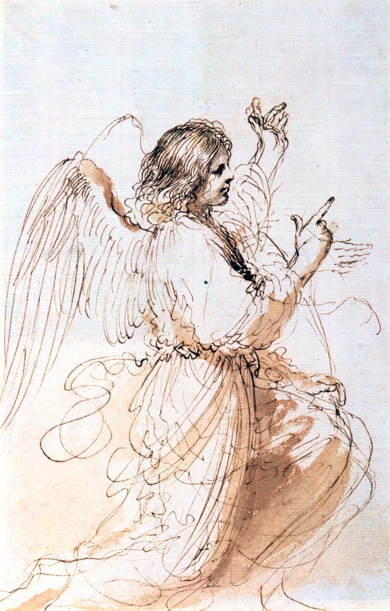 Studium Anioła, c1611-1666 autorstwa Guercino