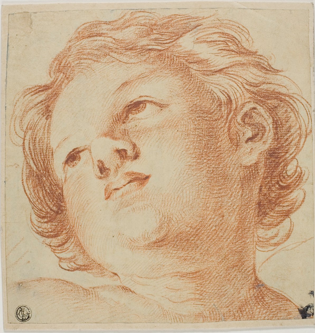 Szef Putto autorstwa Guido Reni
