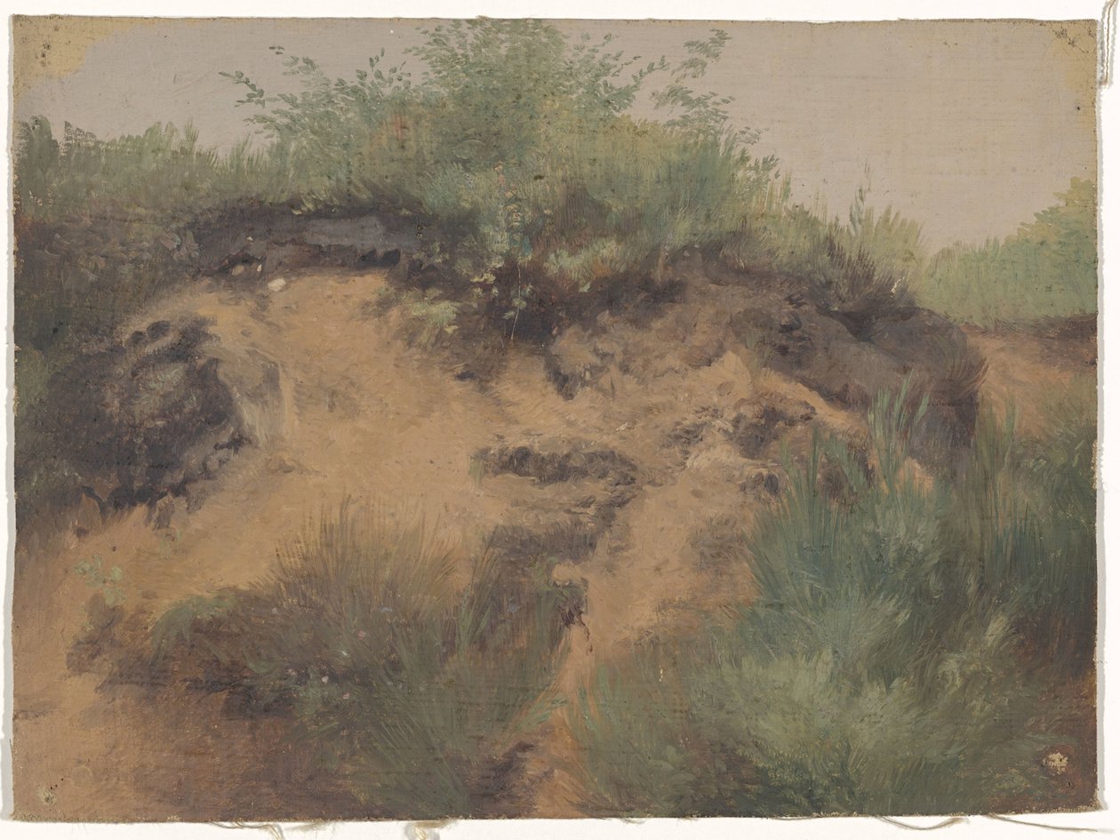 Nirwana DUI autorstwa Guillaume Anne van der Brugghen
