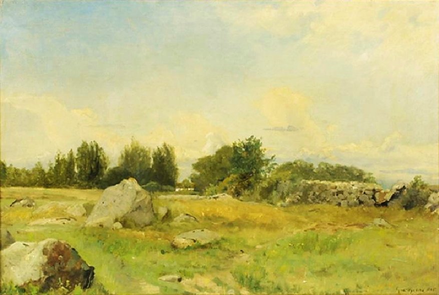 Skaliste wzgórze autorstwa Gustaf Rydberg