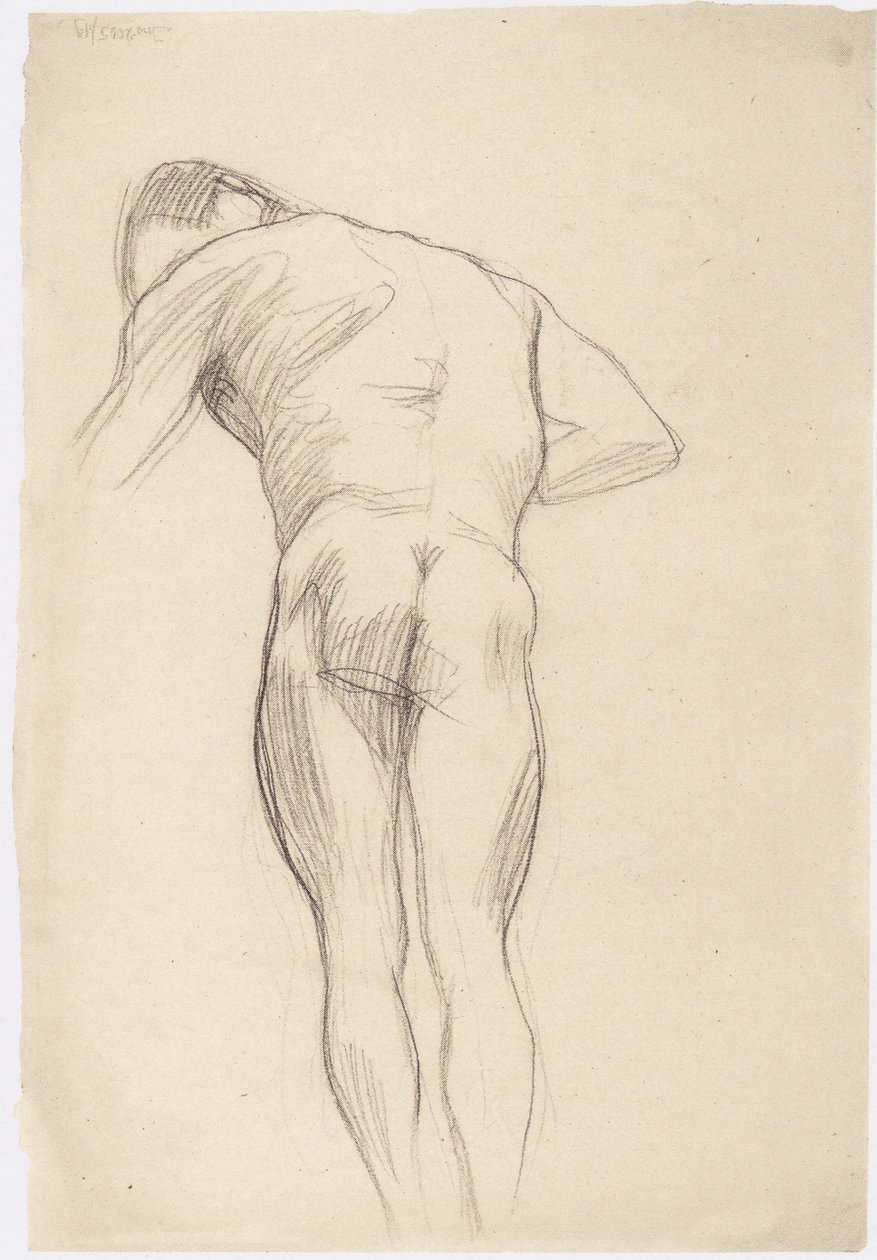 Męski tył nagi w lewo 2 autorstwa Gustav Klimt