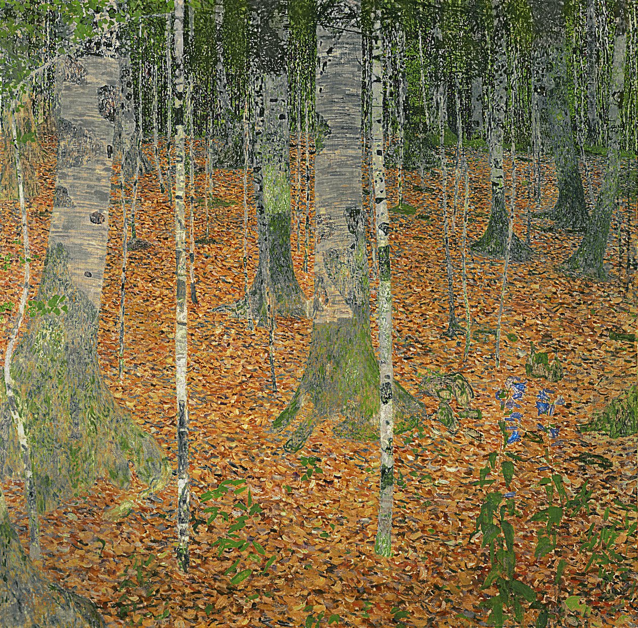 Brzozowy Las, 1903 autorstwa Gustav Klimt
