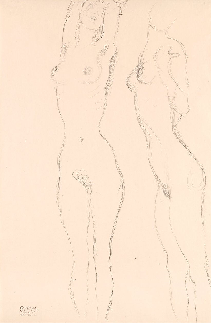 Dwa akty, lewy z podniesionymi rękami autorstwa Gustav Klimt