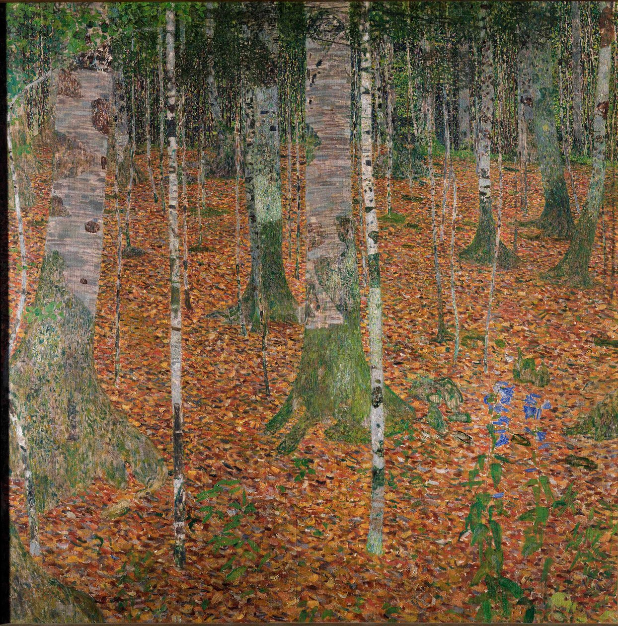 Las brzozowy autorstwa Gustav Klimt