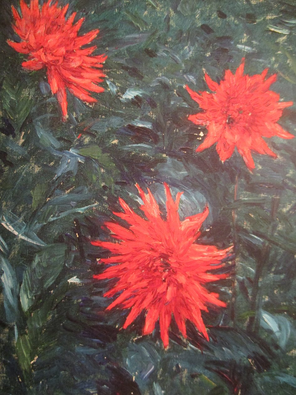 Czerwone dalie kaktusowe (1892) autorstwa Gustave Caillebotte
