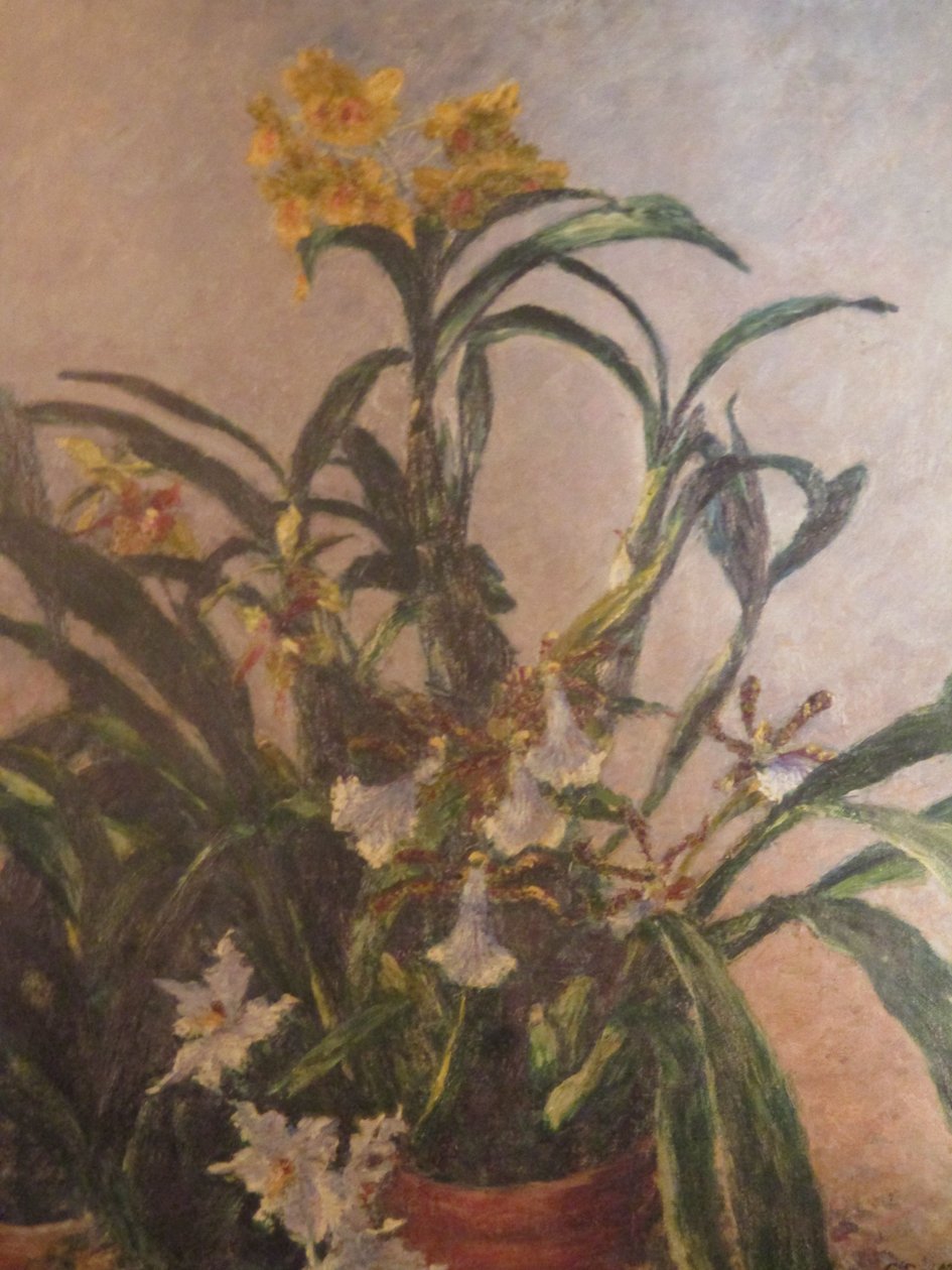 Żółte storczyki autorstwa Gustave Caillebotte