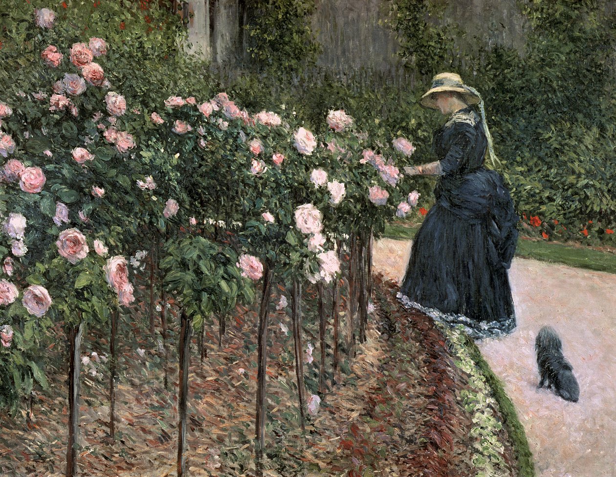 Róże w ogrodzie w Petit Gennevilliers, 1886 r. autorstwa Gustave Caillebotte
