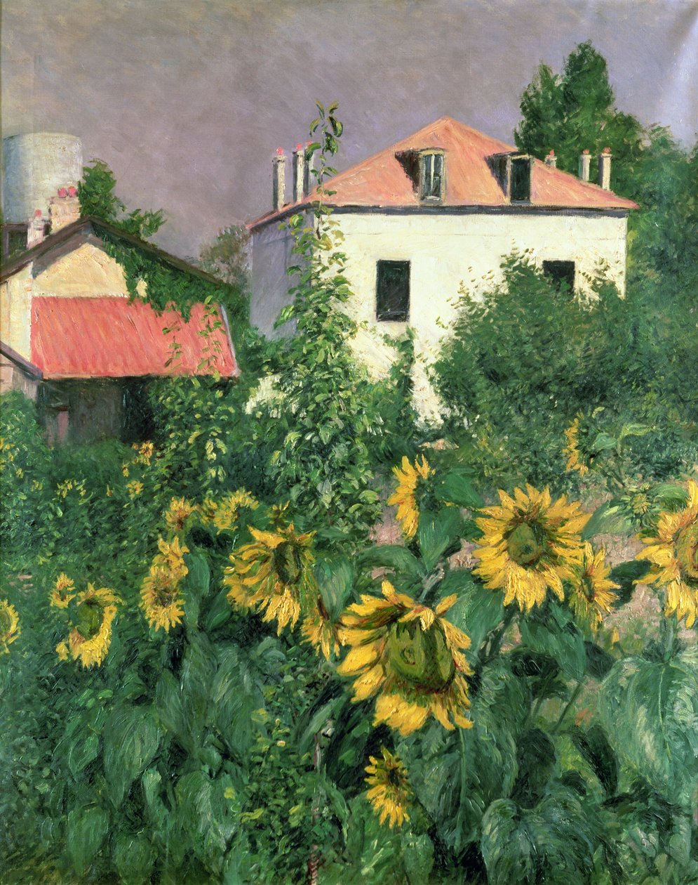 Słoneczniki w ogrodzie w Petit Gennevilliers autorstwa Gustave Caillebotte