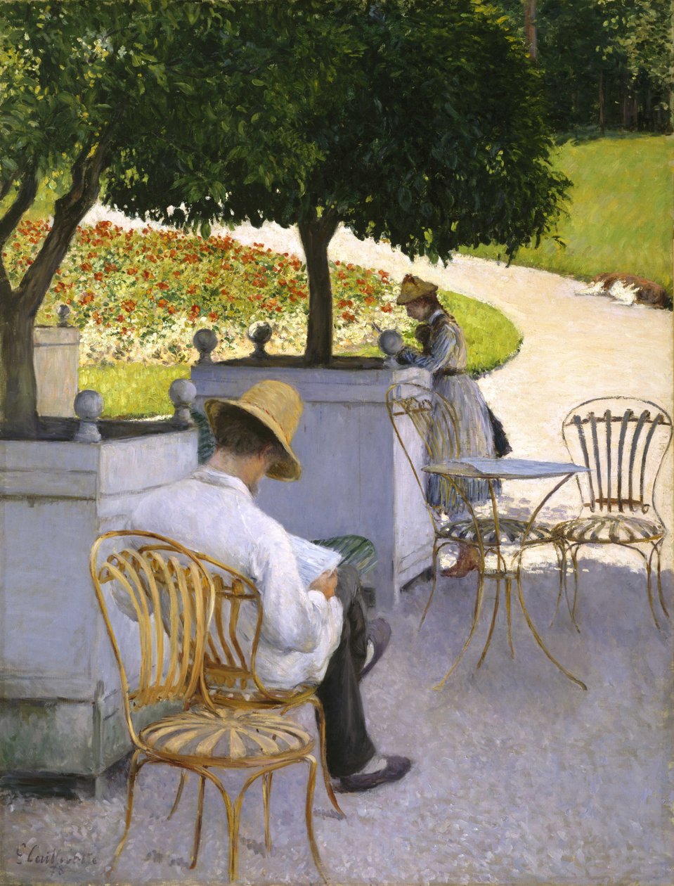 Drzewa pomarańczowe autorstwa Gustave Caillebotte
