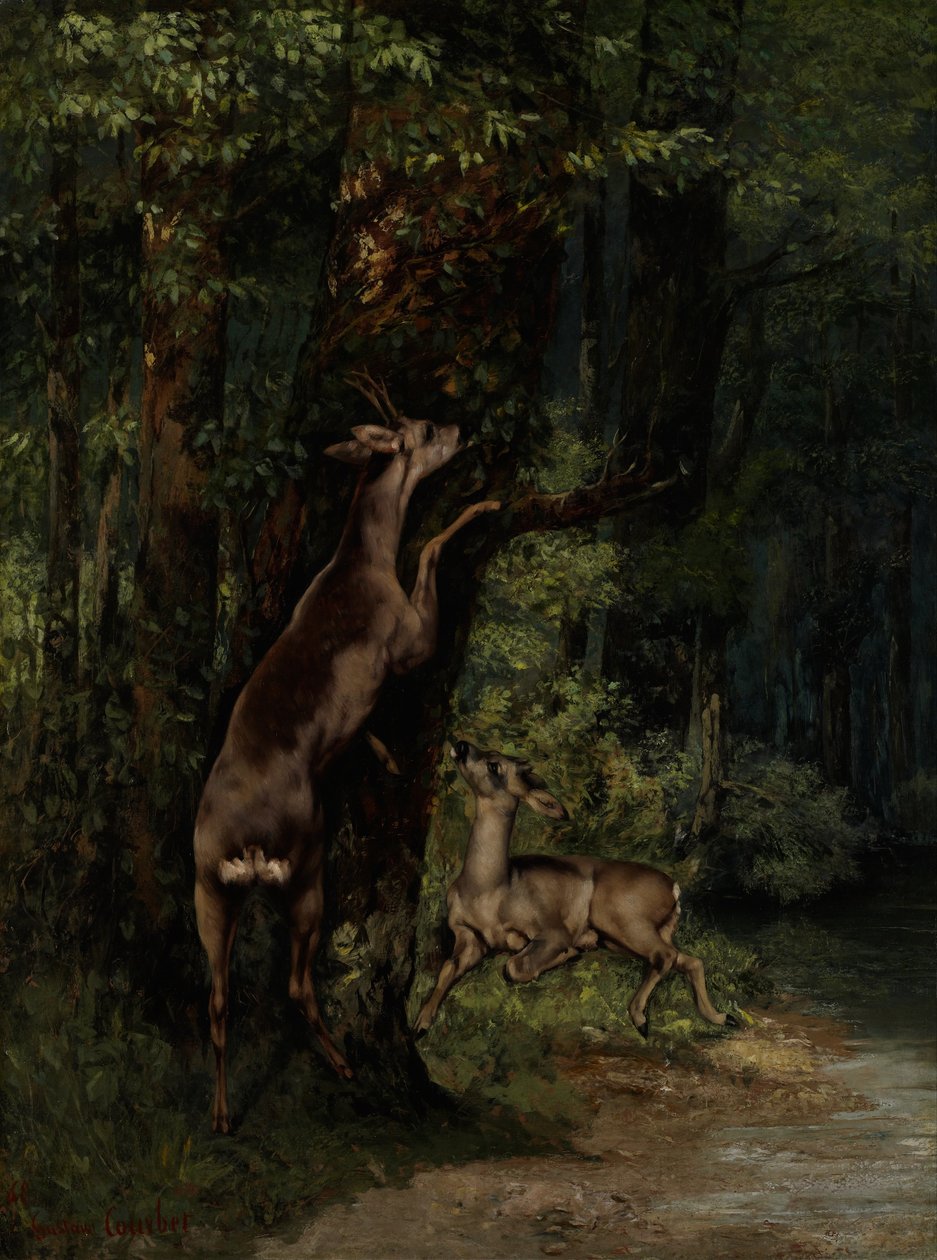 Jeleń w lesie autorstwa Gustave Courbet