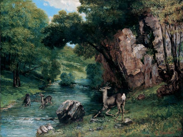 Sarna w strumieniu autorstwa Gustave Courbet