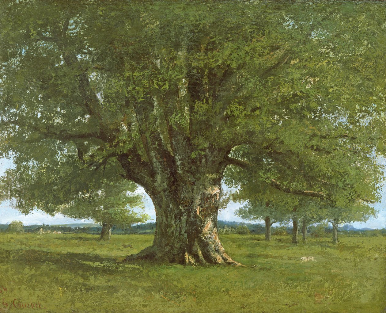 Dąb Flagey, 1864 autorstwa Gustave Courbet