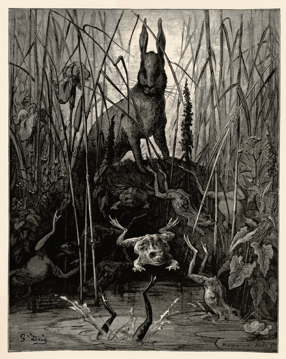Zając i żaby autorstwa Gustave Dore