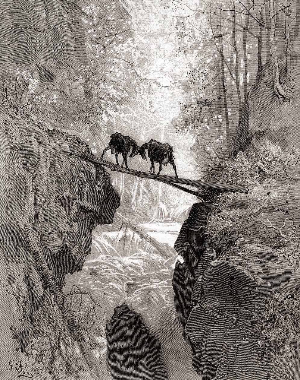 Dwie Kozy z XIX-wiecznego wydania Fables de La Fontaine (drewno) autorstwa Gustave Dore