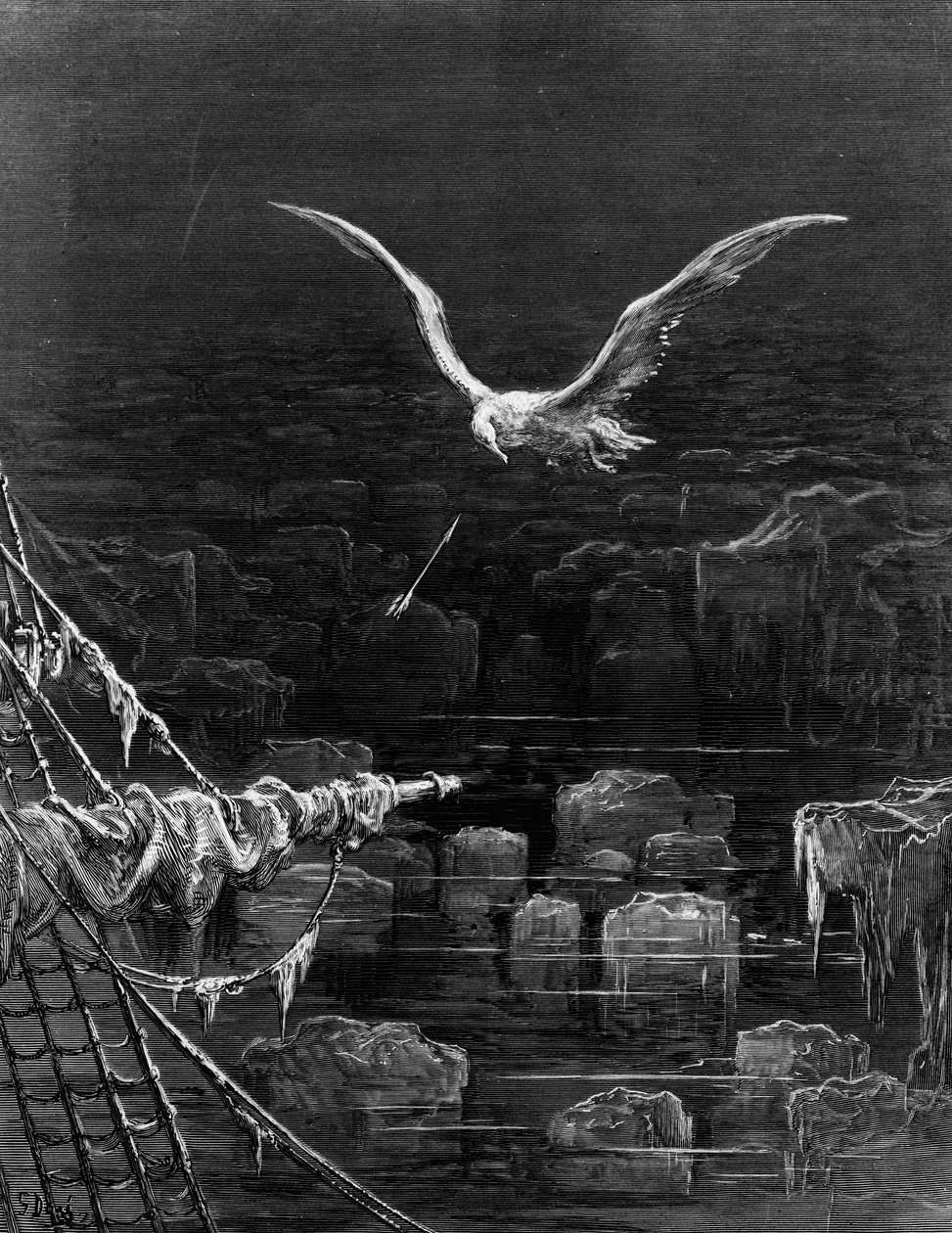 Albatros zostaje zastrzelony przez Marynarza, scena z „Szronu starożytnego marynarza” S.T. Coleridge, przez S.T. Coleridge, wyd. Harper und Brothers, Nowy Jork, 1876 (drewno) autorstwa Gustave Dore