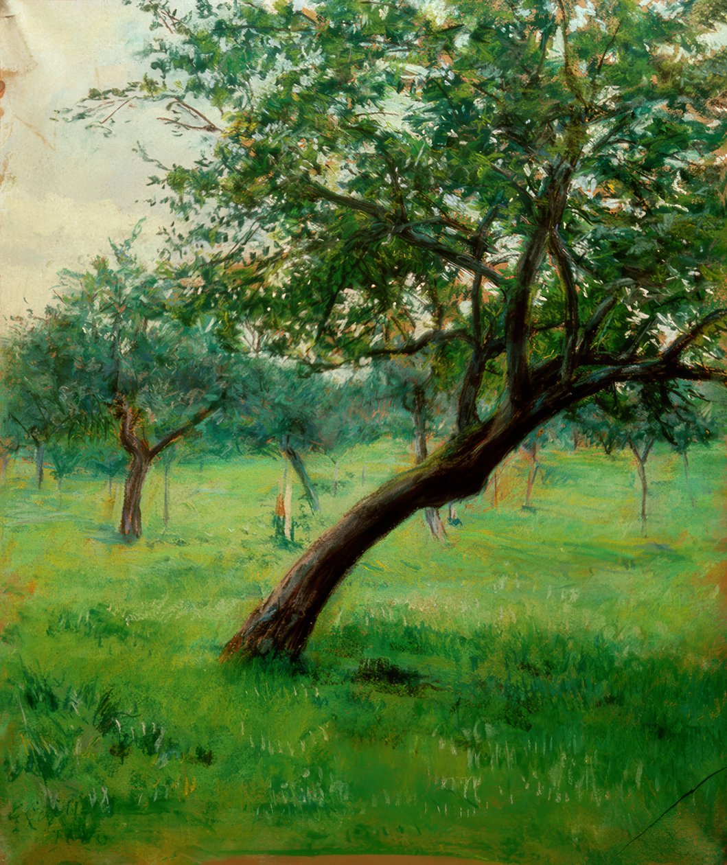 Verger, znany również jako Verger w Normandii autorstwa Gustave Caillebotte