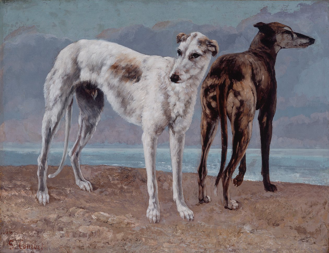 Szaraki Comte de Choiseul autorstwa Gustave Courbet