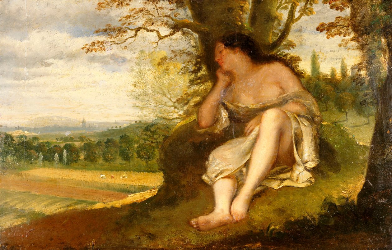 Napa autorstwa Gustave Courbet
