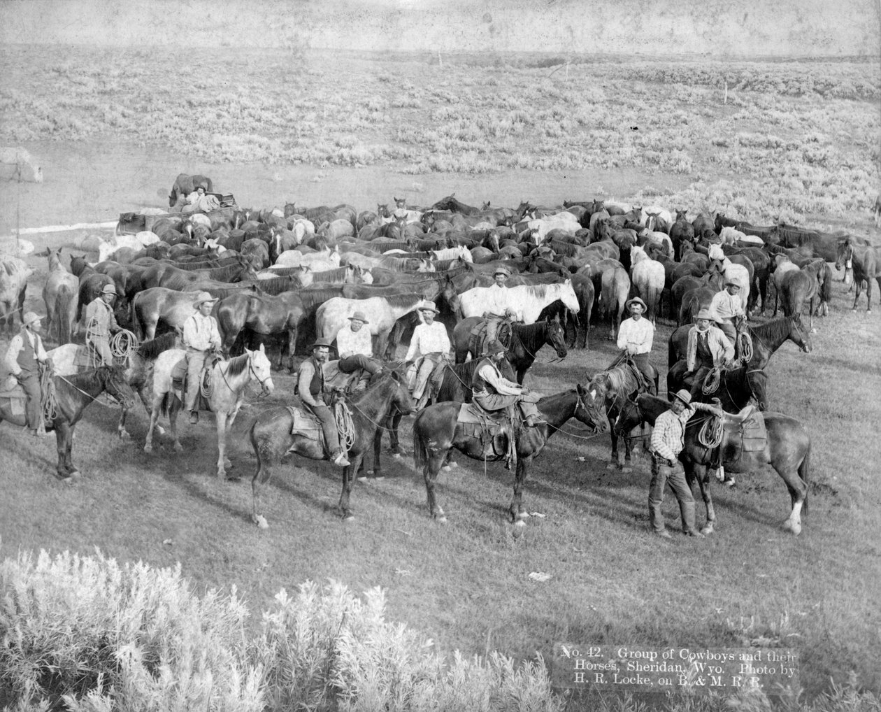 Grupa kowbojów i ich konie, Sheridan, Wyoming, ok. 1890 r. autorstwa H. R. Locke