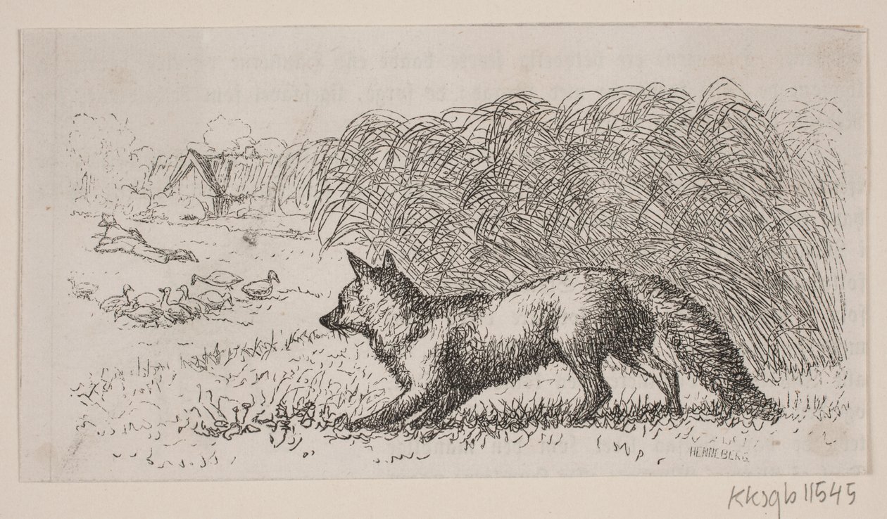 Ilustracja do: „Pan Mikkel” autorstwa H. C. Henneberg
