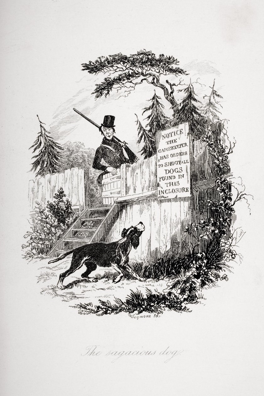 Mądry pies, ilustracja z "The Pickwick Papers" Charlesa Dickensa (1812-70) opublikowana w 1837 r. autorstwa Hablot Knight Browne