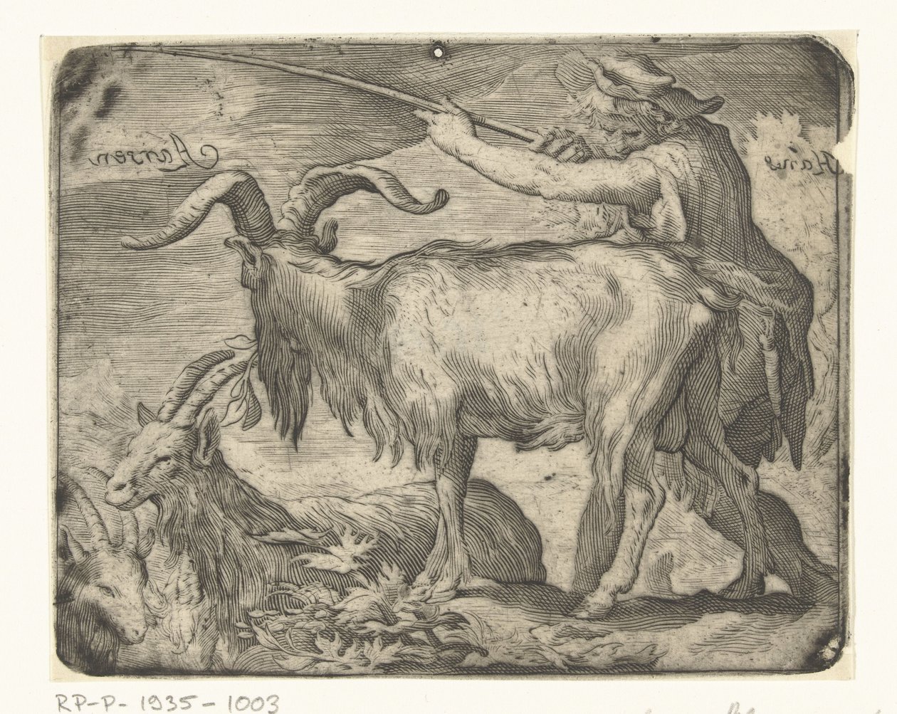 Chłopiec z kozami autorstwa Hans Aarsen (signed by artist)