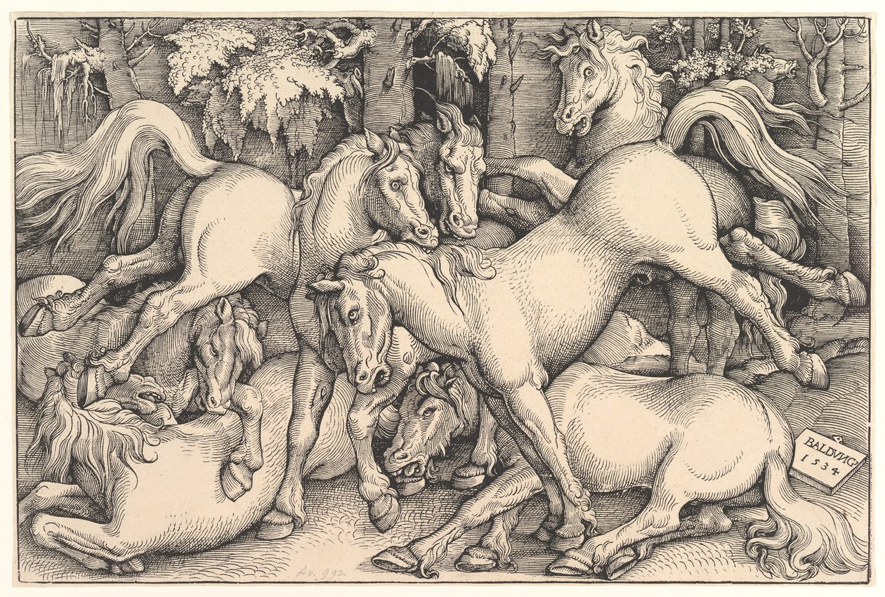 Grupa Siedmiu Koni, 1534. autorstwa Hans Baldung