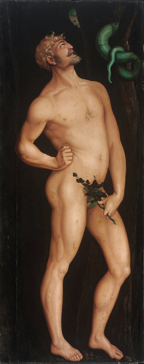 Adam autorstwa Hans Baldung Grien
