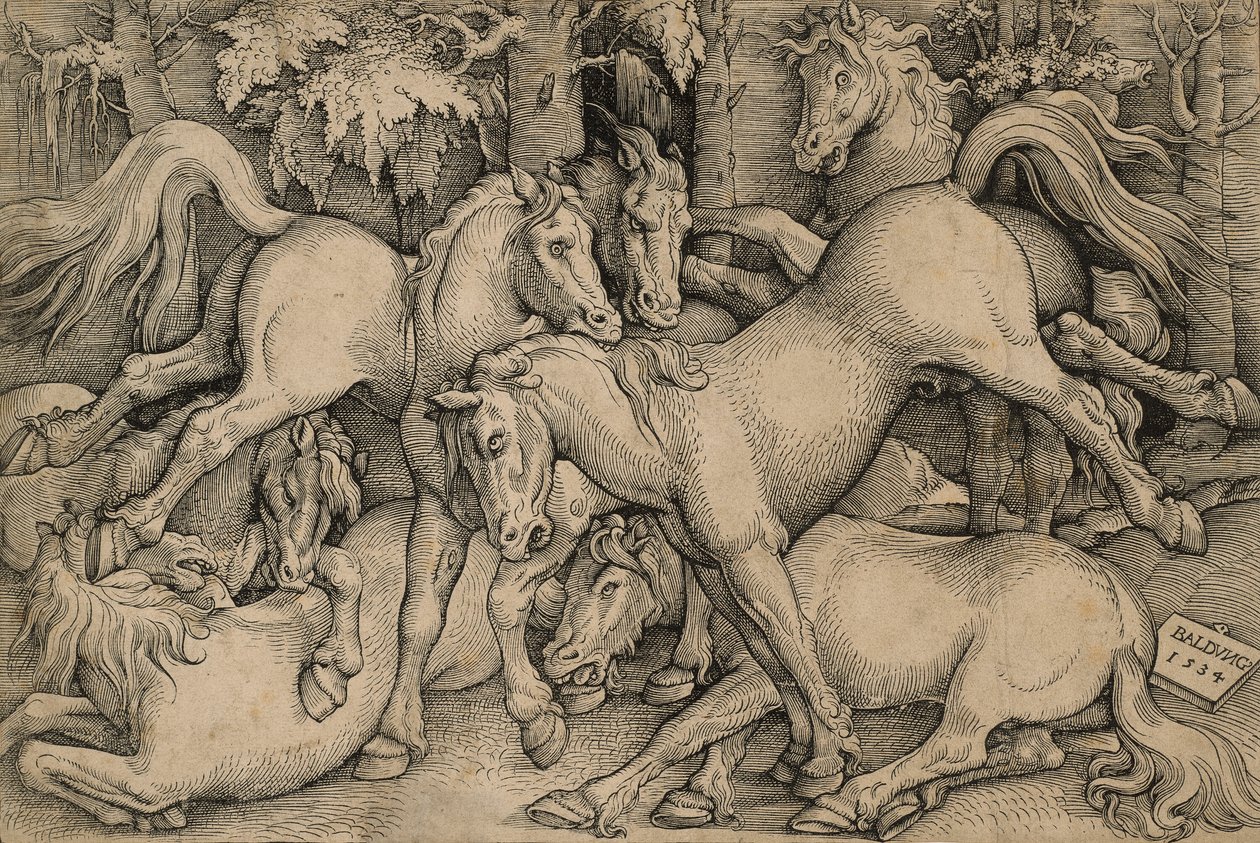 Walka dzikich koni autorstwa Hans Baldung Grien