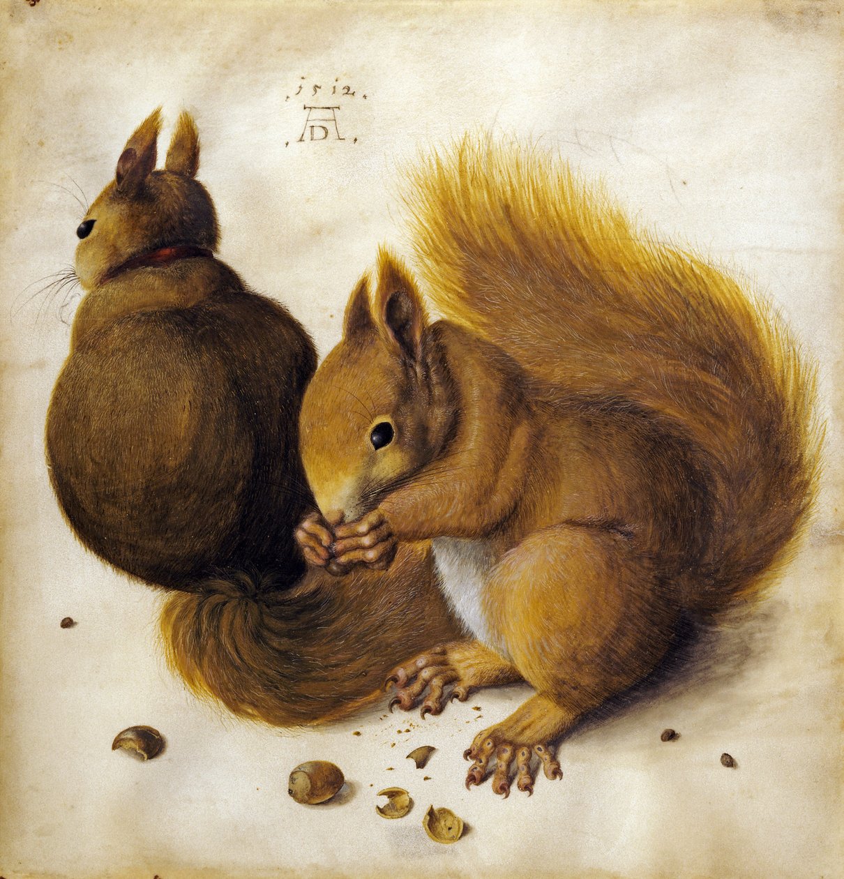 Dwie wiewiórki. autorstwa Hans Hoffmann