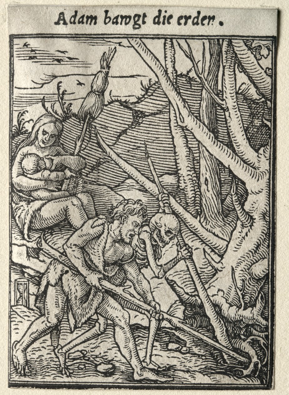 Taniec śmierci: Adam uprawiający ziemię autorstwa Hans Holbein