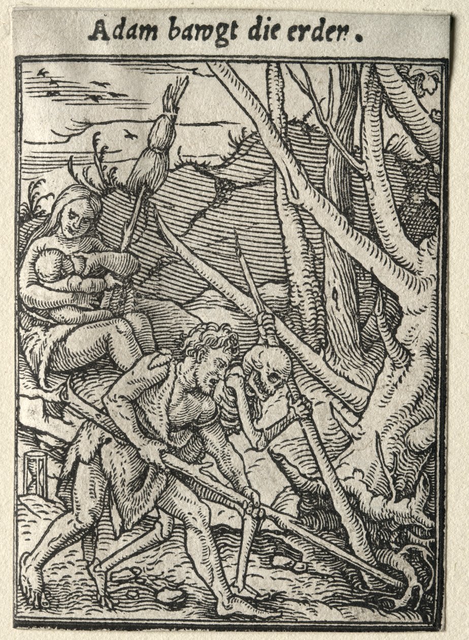 Taniec Śmierci: Adam Uprawia ziemię. autorstwa Hans Holbein