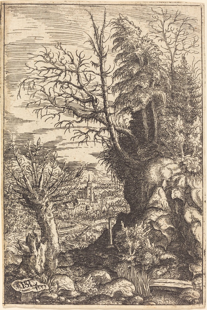 Pejzaż z wierzbą, 1553. autorstwa Hans Sebald Lautensack