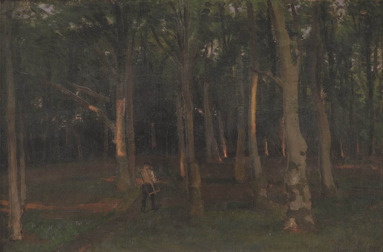 Las o zachodzie słońca autorstwa Hans Smidth