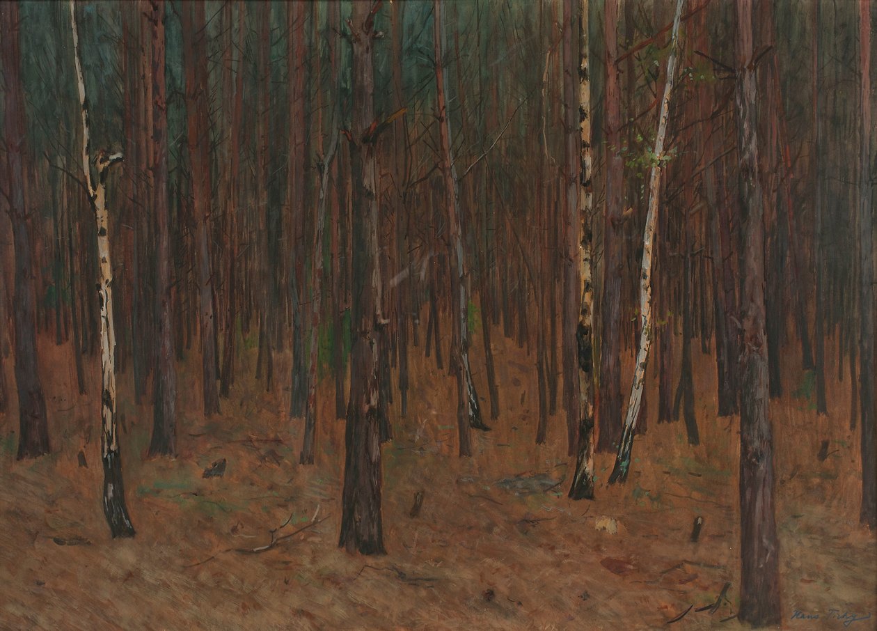 Waldinneres autorstwa Hans Tichy