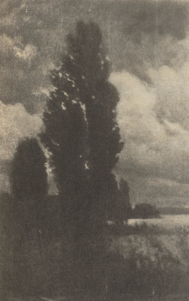 Praca z kamerą: Topole i chmury, 1906. autorstwa Hans Watzek