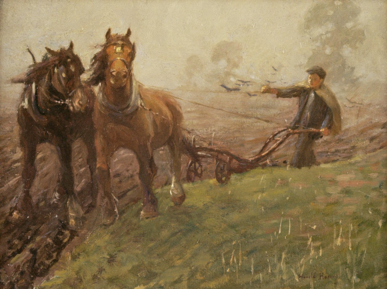 Mężczyzna orający pole autorstwa Harold Harvey
