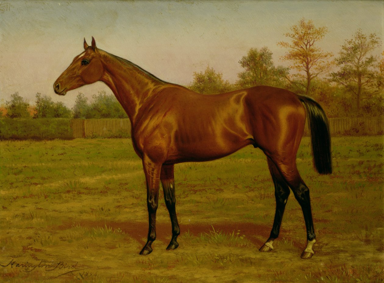 Isinglass, Potrójna Korona, 1893 autorstwa Harrington Bird