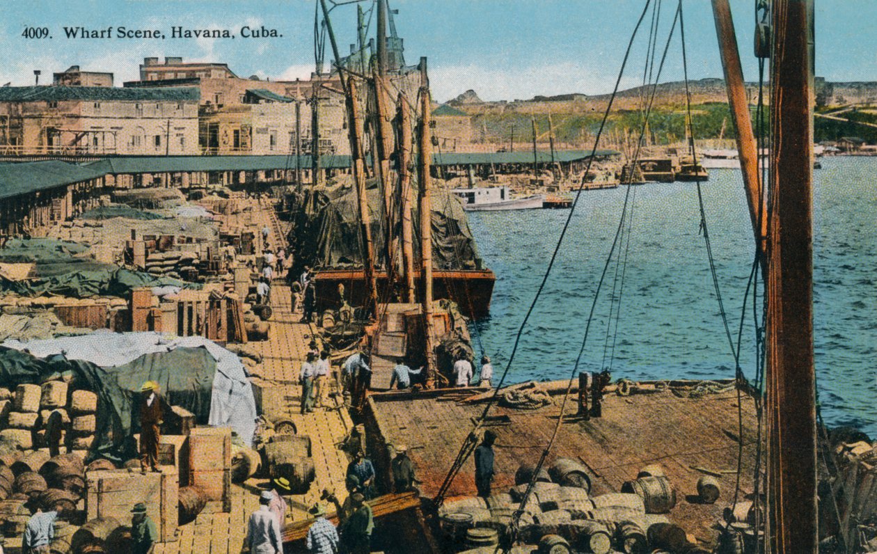 Scena na nabrzeżu, Hawana, Kuba, 1910 autorstwa Harris Bros and Co