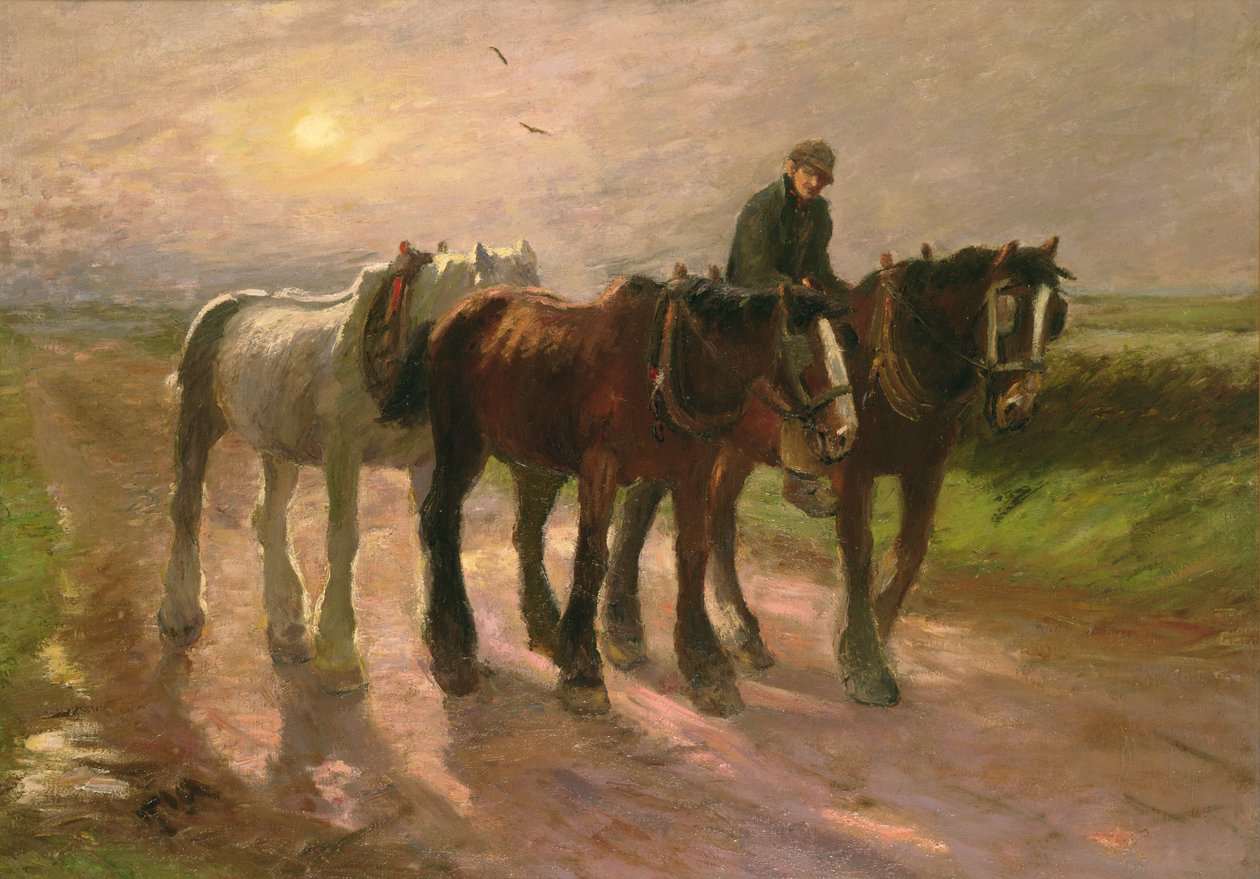 W stronę domu autorstwa Harry Fidler