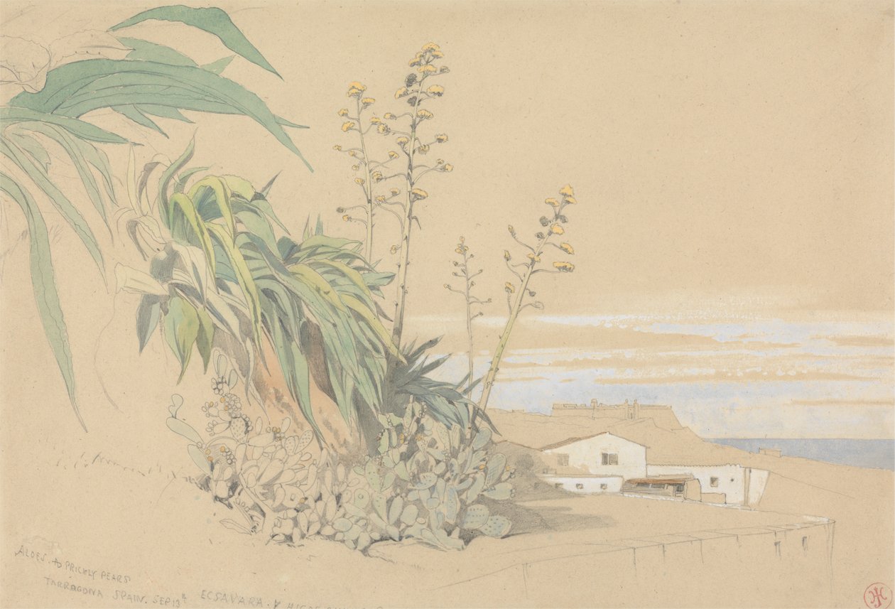 Aloes i opuncja, Tarragona, Hiszpania autorstwa Harry John Johnson