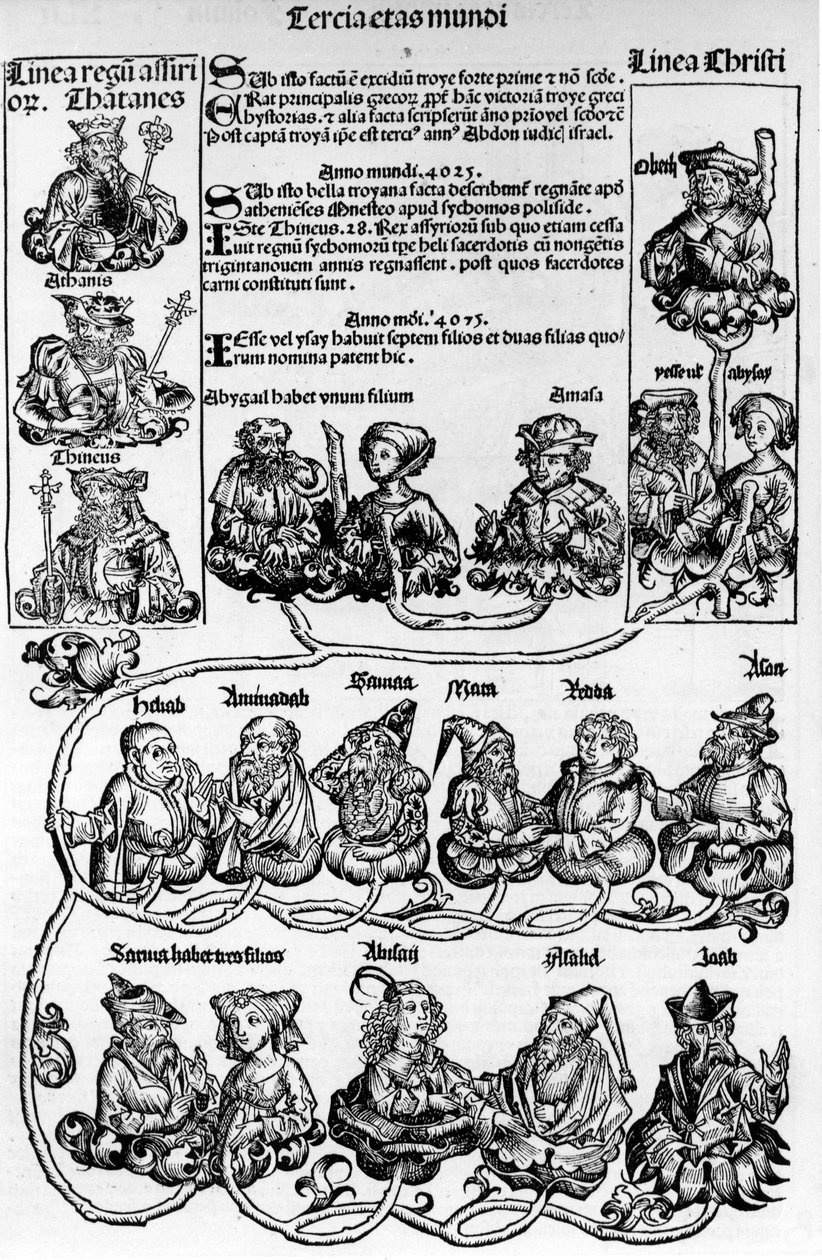 Drzewo genealogiczne, drzewo Jessego; Kronika norymberska autorstwa Hartmann Schedel