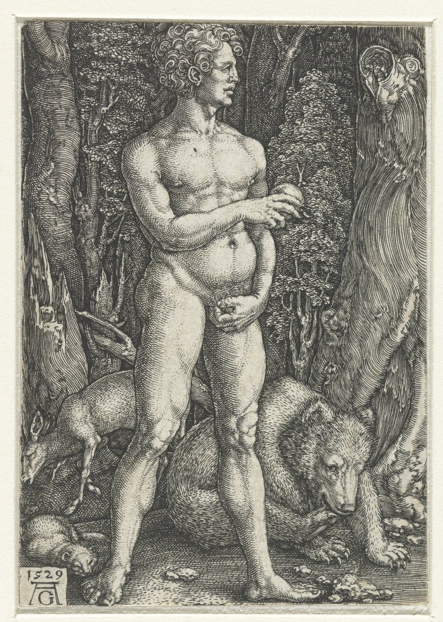 Adam autorstwa Heinrich Aldegrever