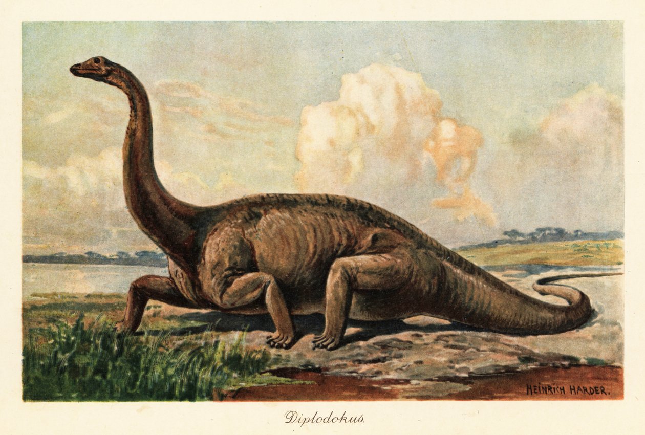 Wymarły Diplodocus longus na równinach. autorstwa Heinrich Harder