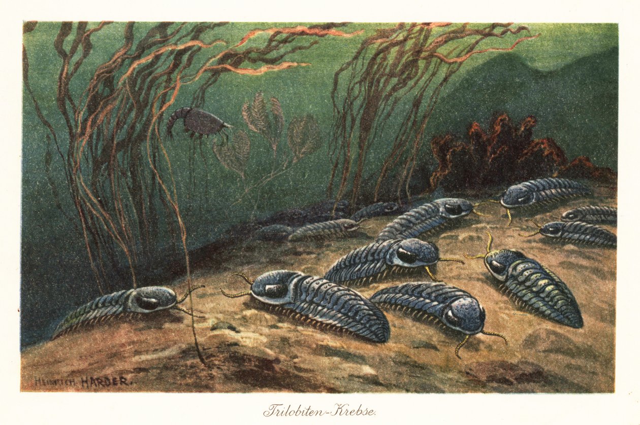 Wymarłe trylobity na dnie oceanu. autorstwa Heinrich Harder
